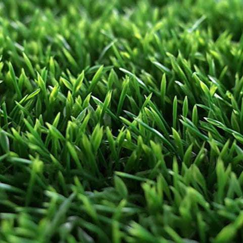 Economic Comparison in Turf Maintenance: Fertilisers and Mower Investments Over 10 Years